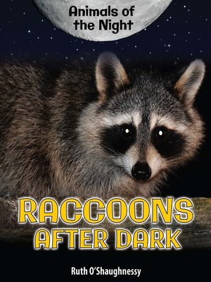 cover image of Raccoons After Dark